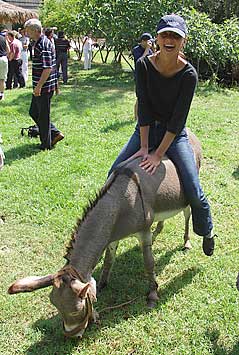 Zabawy ze zwierz�tami